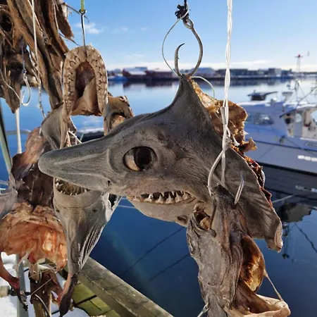 Bensvik Brygge アパート *