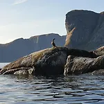 Bensvik Brygge * Vaeroy